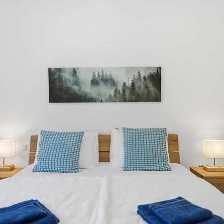 Apartment Waldhorn - Luxus Schwarzwaldhaus In Alleinlage Lenzkirch